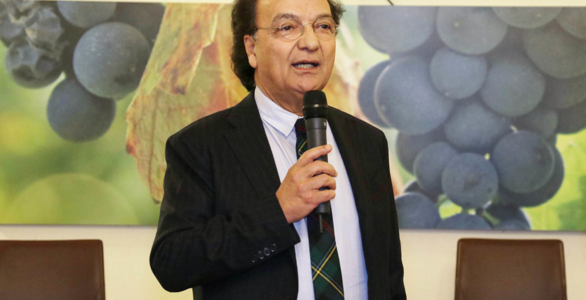 Fonte: http://www.ilcosenza.it